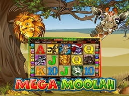 Record Breaking Jackpot Slot Mega Moolah