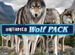 Untamed Wolf Pack